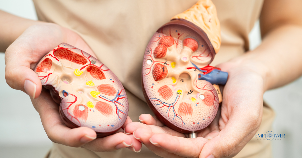 You are currently viewing Does Alcohol Abuse Cause Kidney Failure? Recognizing the Signs and Finding Help